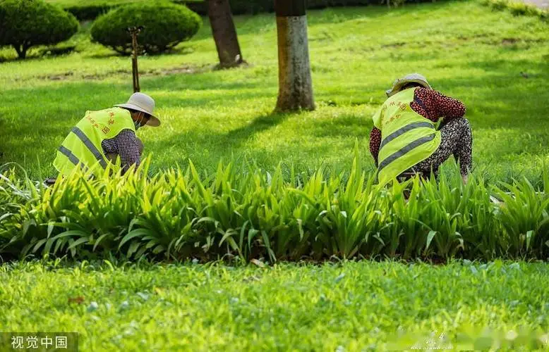 客土喷播植草绿化工程施工