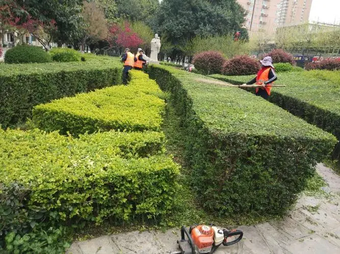 新郑市家庭绿化工程招标