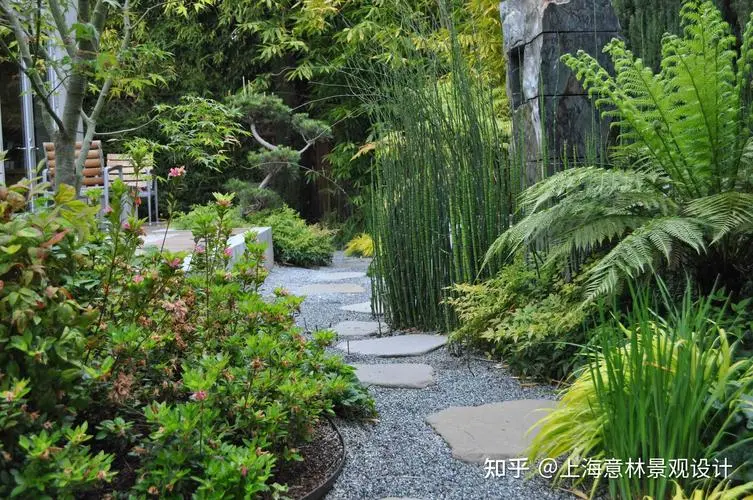 广元绿化花卉苗木批发市场