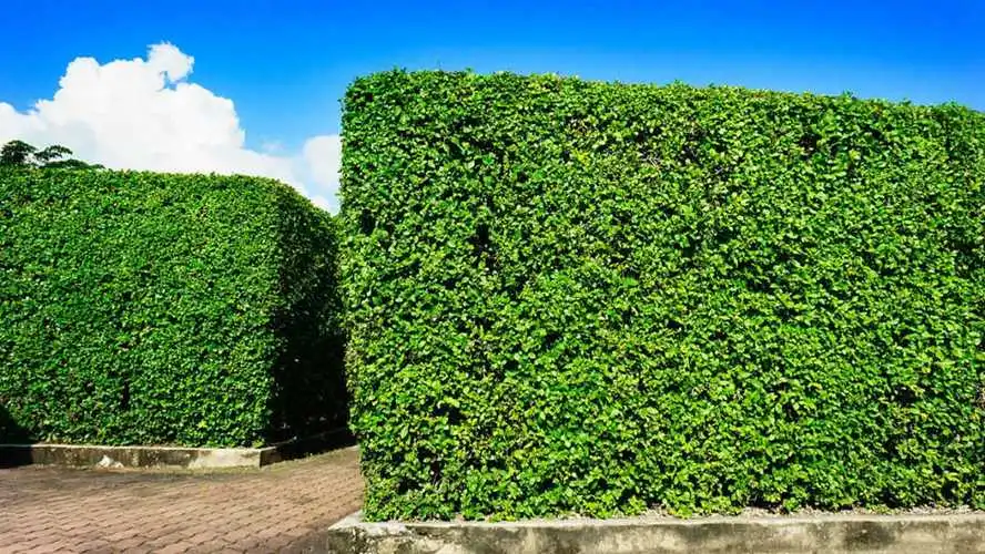 奉贤区矿山绿化工程团队