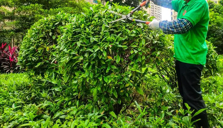 新乡牧野湖卫河绿化工程