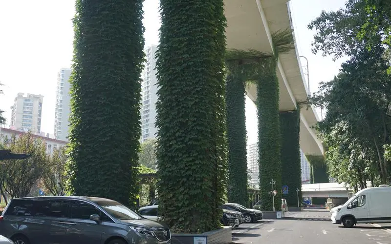 城市园林管理养护问题调查：何种植物适应城区环境最佳？